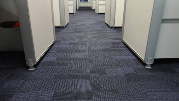 New carpet installation Shelby Township MI