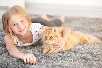 Child and cat on new carpet